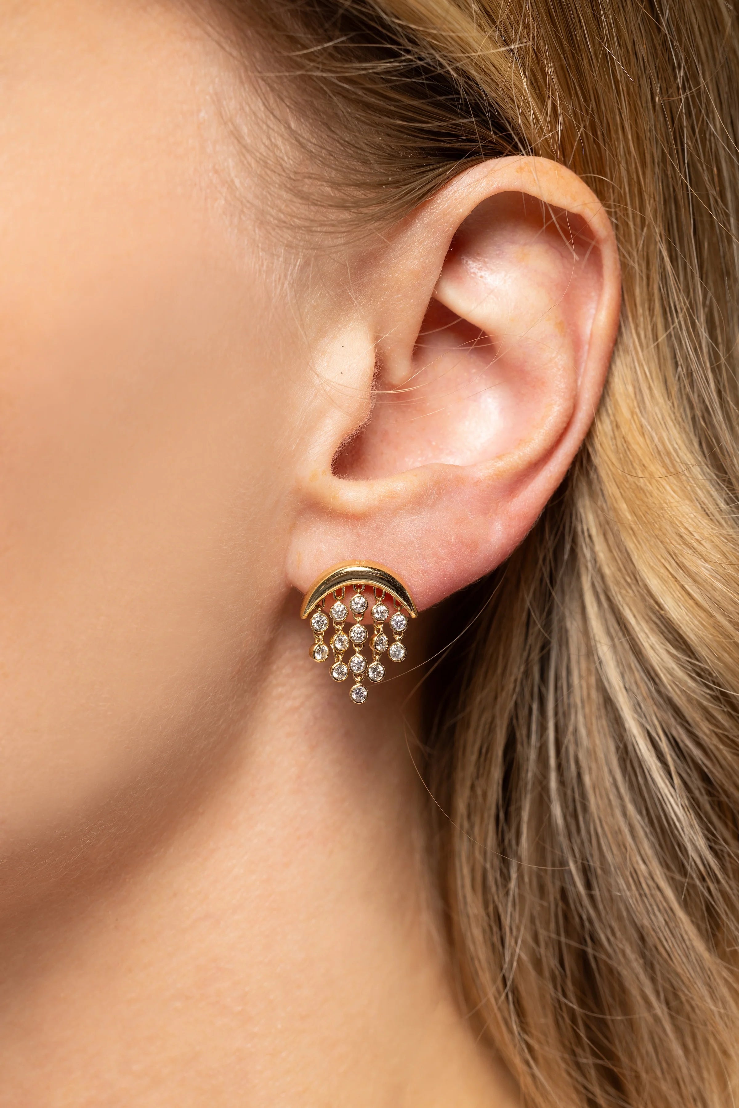 Emily P. Wheeler 18k Yellow Gold Fringe Diamond Earrings