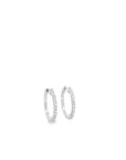 Brown & Co. 18k White Gold 0.50ct Diamond Hoop Earrings