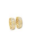 Brown & Co. 18k Yellow Gold Diamond Hoop Earrings