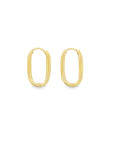 Brown & Co. 14k Yellow Gold Earrings