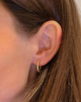 Brown & Co. 14k Yellow Gold Earrings