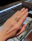 Brown & Co. 14k Yellow Gold Fashion Ring