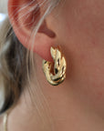 Brown & Co. Earrings