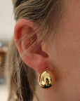 Brown & Co. 14k Yellow Gold Earrings