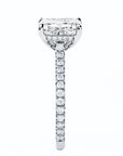 The Jewel