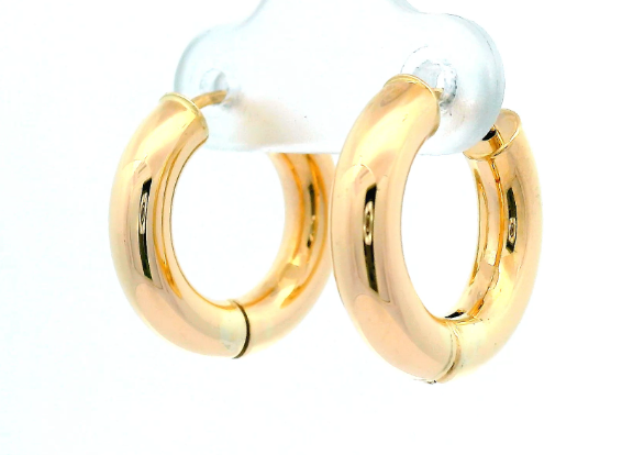 Brown & Co. 14k Yellow Gold Earrings