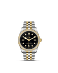 Tudor Black Bay 36 S&g