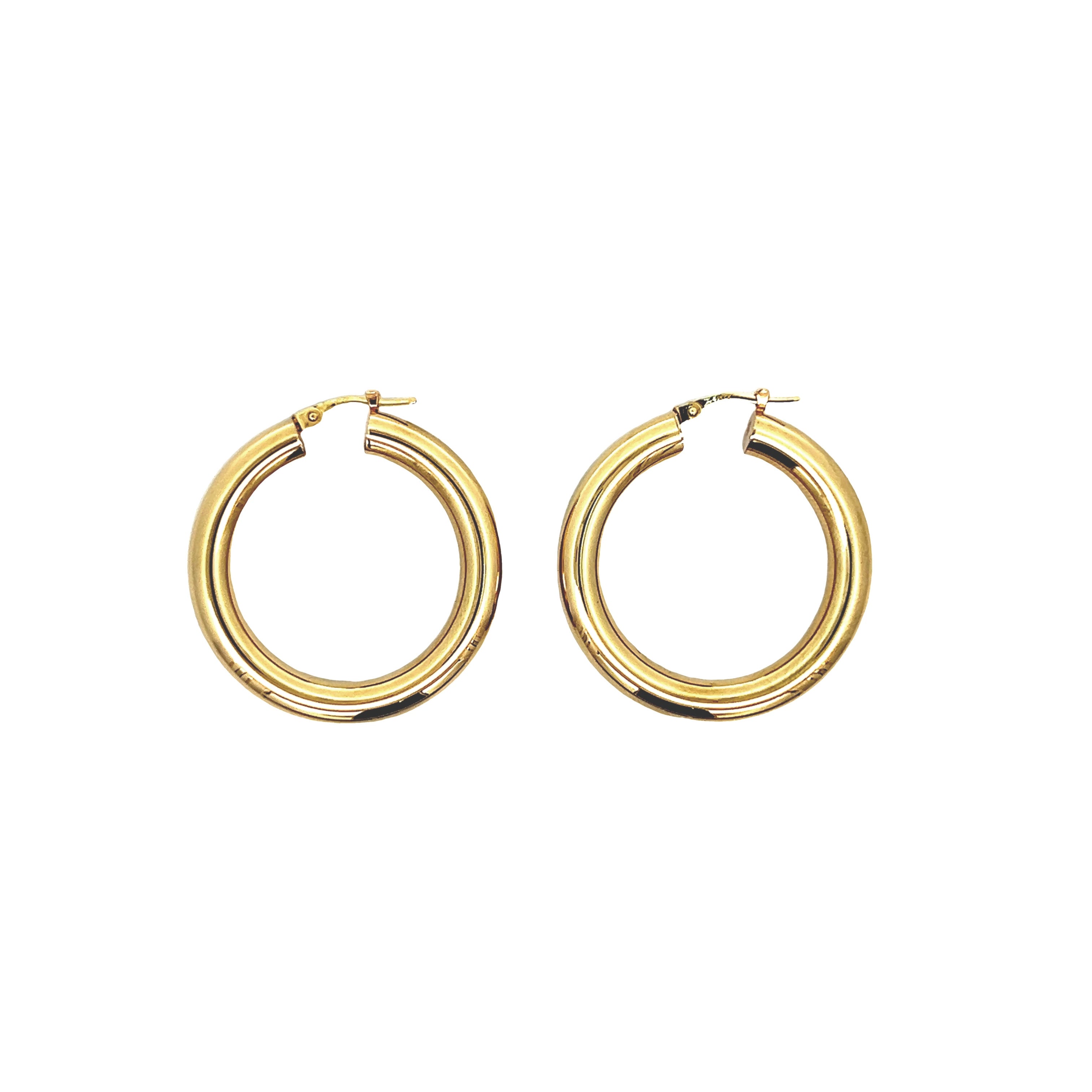 Brown & Co. 14k Yellow Gold Earrings
