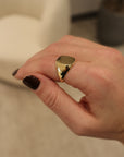 Brown & Co. 14k Yellow Gold Fashion Ring