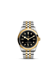 Tudor Black Bay 36 S&g