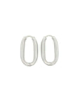 Brown & Co. 14k White Gold Earrings