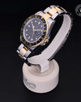 Oyster Perpetual GMT-Master II