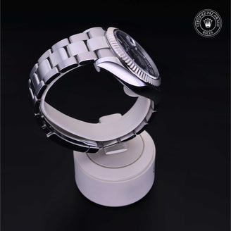 Sky-Dweller - image 26 of 36