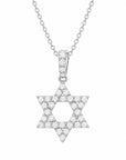 Brown & Co. 18k White Gold 0.20ct Diamond Star Of David Pendant Necklace