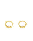 Brown & Co. 14k Yellow Gold Earrings