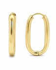 Brown & Co. 14k Yellow Gold Earrings