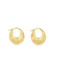 Brown & Co. 14k Yellow Gold Earrings