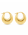 Brown & Co. 14k Yellow Gold Earrings