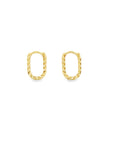 Brown & Co. 14k Yellow Gold Earrings