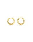 Brown & Co. 14k Yellow Gold Earrings