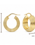 Gold hoop earrings with multiple concentric ridges, shown on a white background with dimension markers indicating 20mm height and 5mm width.