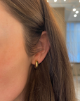 Brown & Co. 14k Yellow Gold Small Huggie Earrings