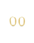 Brown & Co. 14k Yellow Gold Earrings