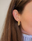 Brown & Co. 14k Yellow Gold Earrings