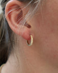 Brown & Co. 14k Yellow Gold Earrings