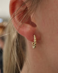 Brown & Co. 14k Yellow Gold Earrings