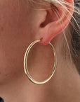 Brown & Co. 14k Yellow Gold Earrings