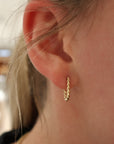 Brown & Co. 14k Yellow Gold Earrings