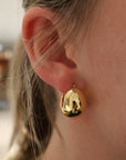 Brown & Co. 14k Yellow Gold Earrings