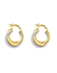 Brown & Co. 14k Yellow Gold Earrings