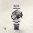 Oyster Perpetual 36 - image 2 of 4