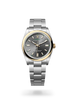 Oyster Perpetual 36 - image 2 of 4