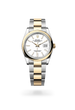 Datejust 36 - image 2 of 4