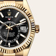 Sky-Dweller - image 2 of 4