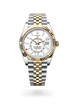 Sky-Dweller - image 2 of 4
