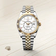 Sky-Dweller - image 2 of 4