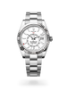 Sky-Dweller - image 2 of 4