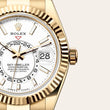 Sky-Dweller - image 2 of 4