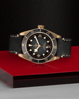 Black Bay Bronze