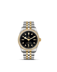 Tudor Black Bay 36 S&g
